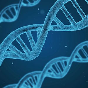 DNA strand Dipiction of a DNA strand