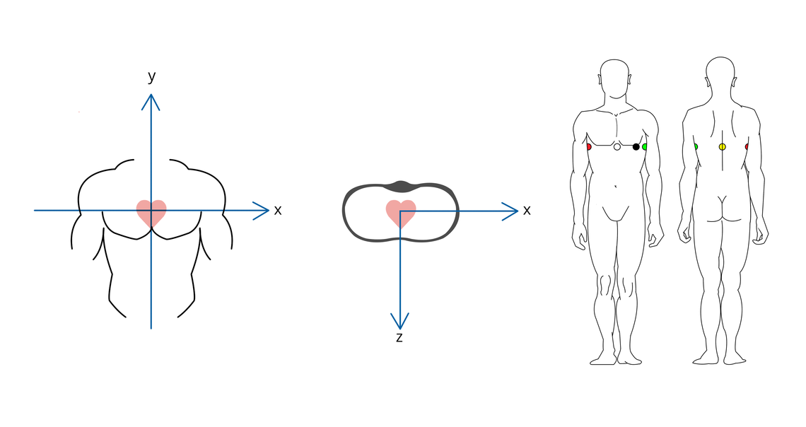 Illustration des axes de l'ECG vectoriel tel que développé par Frank
