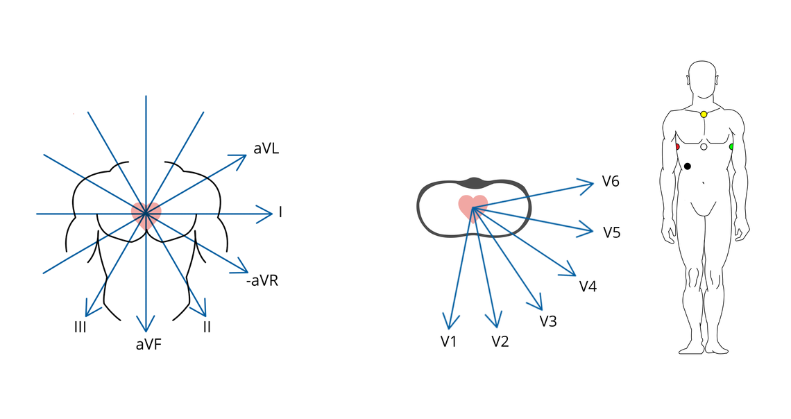 Ableitungssysteme So Funktioniert Ein EKG Ger t CardioSecur Ableitungssysteme So Funktioniert Ein EKG Ger t CardioSecur