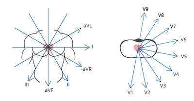 Horizontal plane with the measured CardioSecur ECG leads